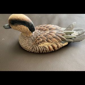 Gosset Widgeon Duck